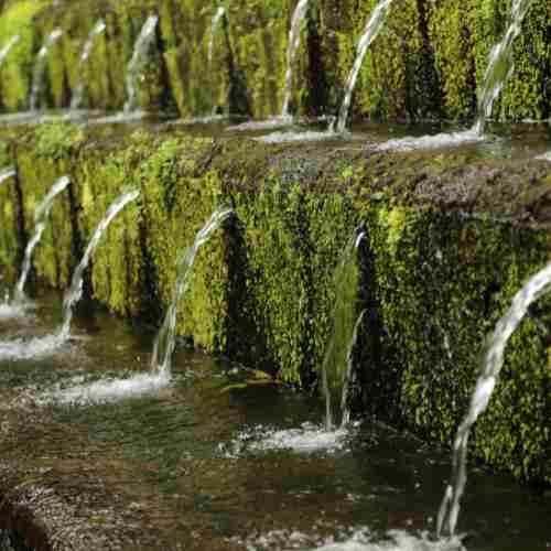 Historia del parque Nacional de uruapan 9 uruapan michoacan 31